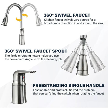 Kitchen Sink Faucet with Pull Down Sprayer