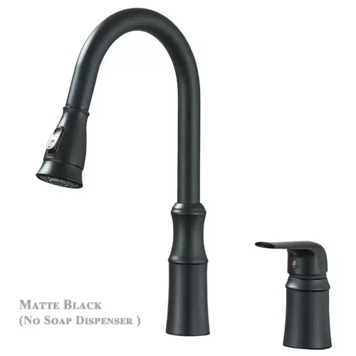 Kitchen Sink Faucet with Pull Down Sprayer