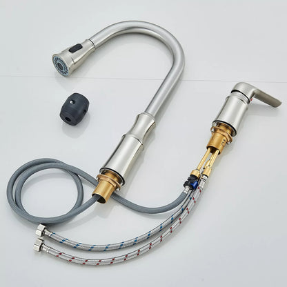 Kitchen Sink Faucet with Pull Down Sprayer