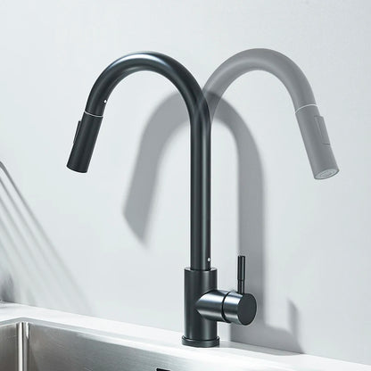 Pull Out Kitchen Faucet