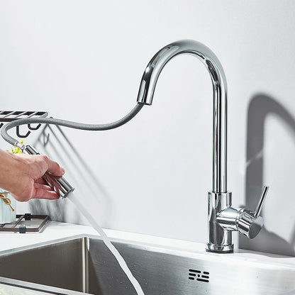 Pull Out Kitchen Faucet